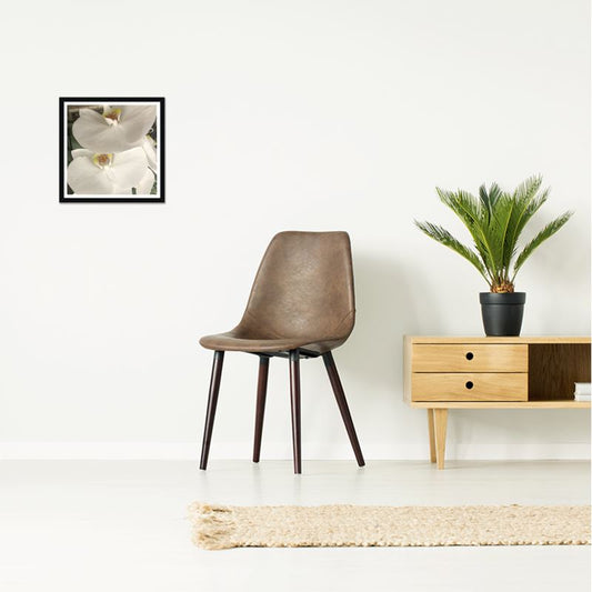 MADUNA Box Frame Art Prints - Purity