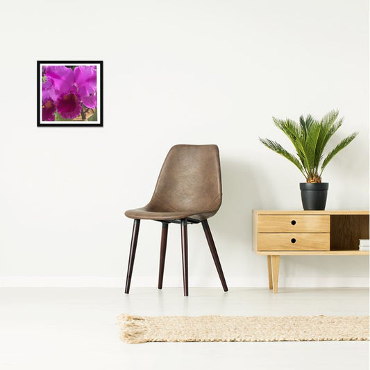 MADUNA Box Frame Art Prints - Pretty In Pink