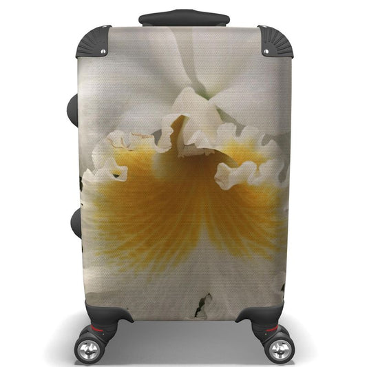 Suitcase - Timeless Beauty